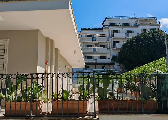 Andromeda's Отранто